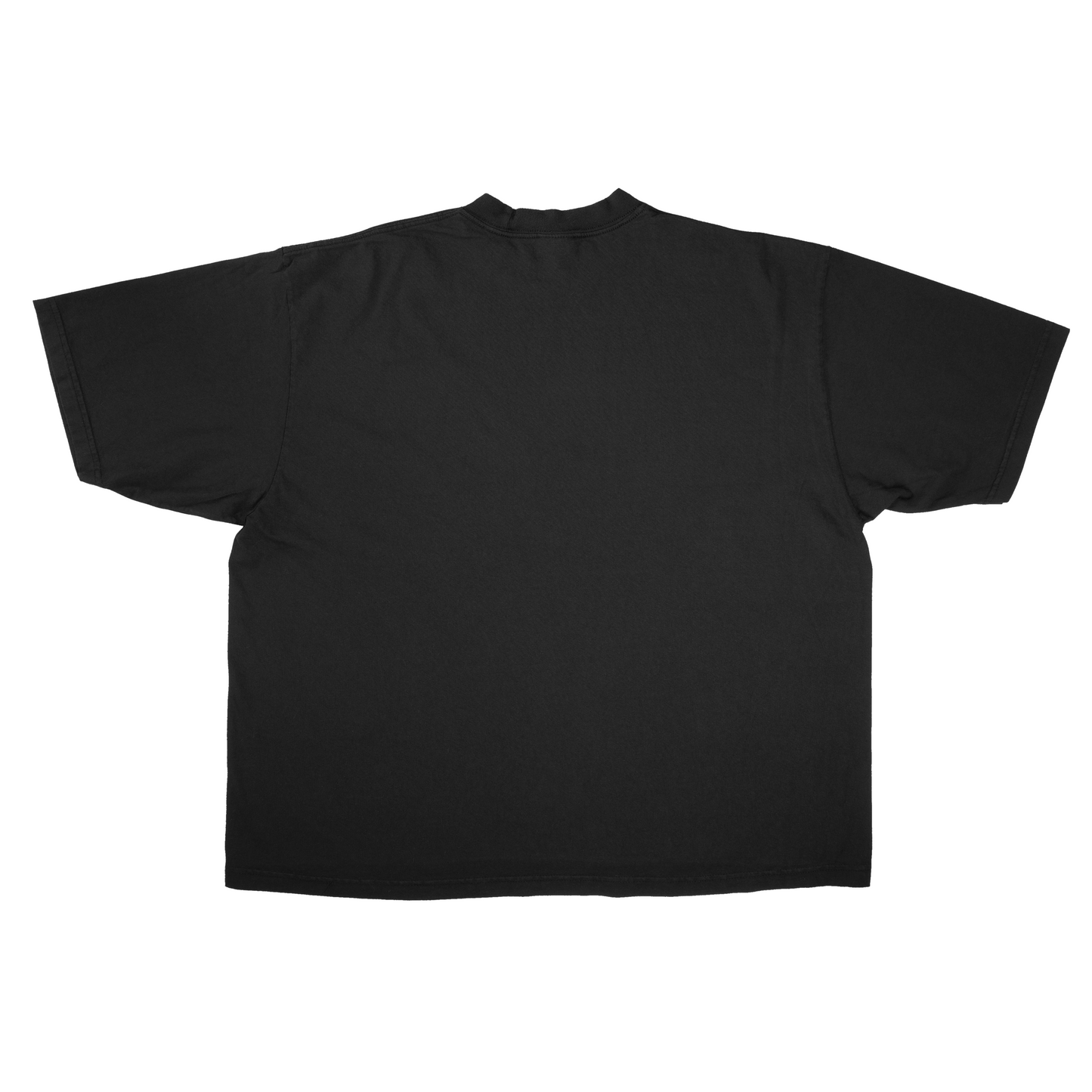 "Friendless" Classic Logo on Heavyweight Crewneck T-Shirt